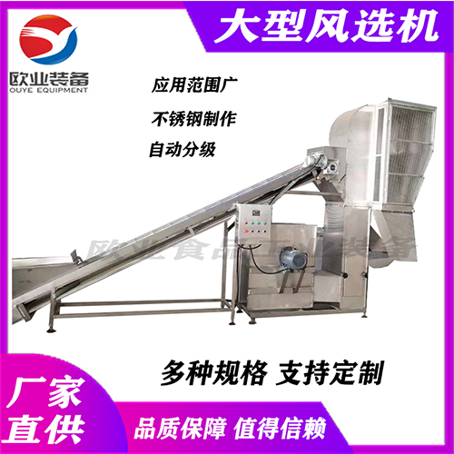 大型毛豆加工设备