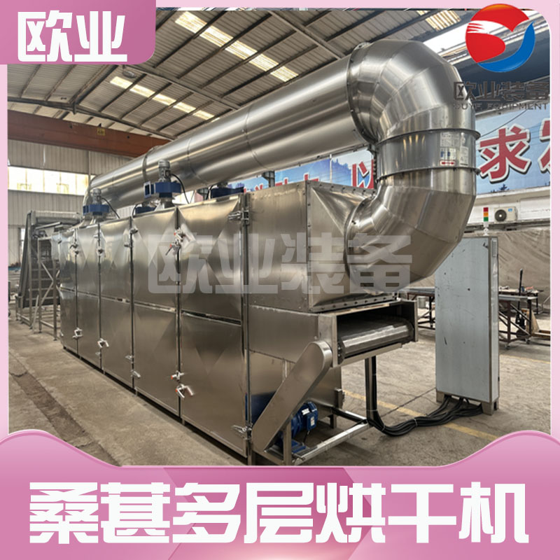 桑葚烘干流水线